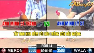 TRẬN 14 CPC3 25/02/2025