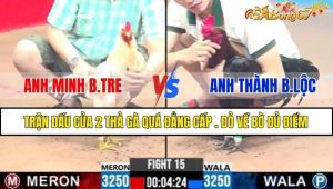 TRẬN 15 CPC3 15/2/2025