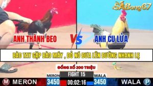 TRẬN 15 CPC3 16/2/2025
