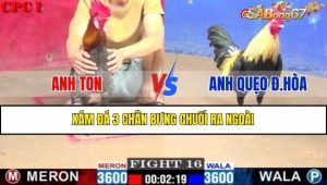 TRẬN 16 CPC1 11/2/2025