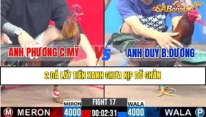 TRẬN 17 CPC3 14/2/2025