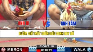 TRẬN 18 CPC2 14/2/2025