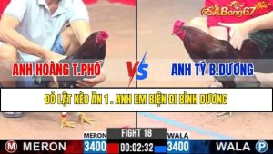 TRẬN 18 CPC3 11/2/2025