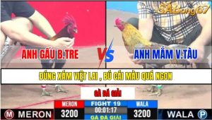 TRẬN 19 CPC3 26/02/2025