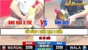 TRẬN 21 CPC3 26/02/2025