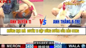 TRẬN 23 CPC1 08/02/2025