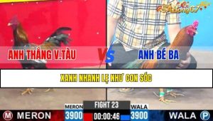TRẬN 23 CPC3 12/2/2025