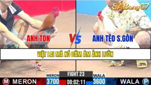 TRẬN 23 CPC3 21/2/2025