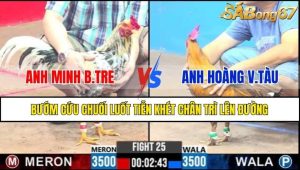 TRẬN 25 CPC3 18/2/2025