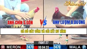 TRẬN 27 CPC3 21/2/2025