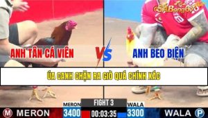 TRẬN 3 CPC3 11/2/2025