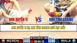 TRẬN 30 CPC1 08/02/2025