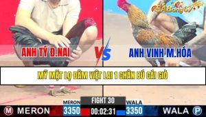 TRẬN 30 CPC3 14/2/2025