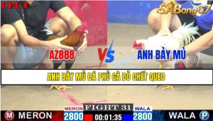 TRẬN 31 CPC1 27/02/2025