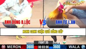 TRẬN 35 CPC3 10/2/2025