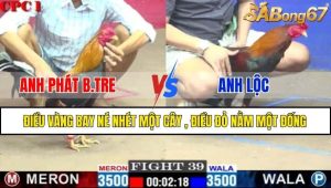 TRẬN 39 CPC1 18/2/2025