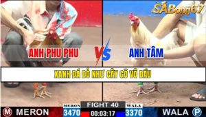 TRẬN 40 CPC2 26/02/2025
