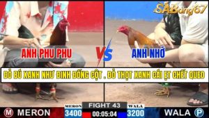 TRẬN 43 CPC2 26/02/2025