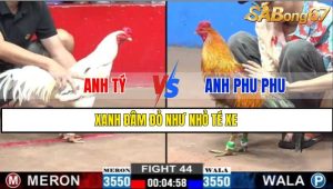 TRẬN 44 CPC2 26/02/2025