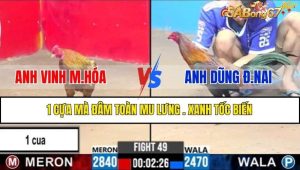TRẬN 49 CPC3 10/2/2025