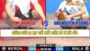 TRẬN 8 CPC2 14/2/2025