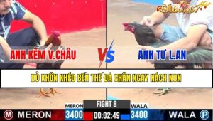 TRẬN 8 CPC3 11/2/2025