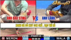TRẬN 9 CPC2 26/02/2025