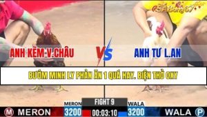 TRẬN 9 CPC3 11/2/2025