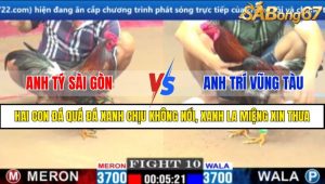 TRẬN 10 CPC1 11/3/2025 : ANH TÝ SÀI GÒN VS ANH TRÍ VŨNG TÀU