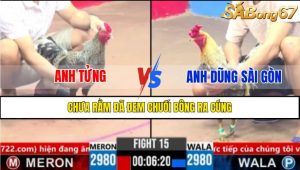 TRẬN 15 CPC3 11/3/2025 : ANH TỬNG VS ANH DŨNG SÀI GÒN