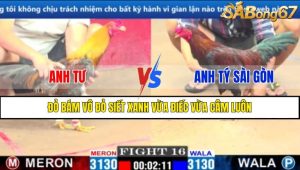 TRẬN 16 CPC1 11/3/2025 : ANH TƯ VS ANH TÝ SÀI GÒN