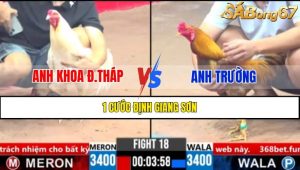 TRẬN 18 CPC3 11/3/2025 : ANH KHOA ĐỒNG THÁP VS ANH TRƯỜNG