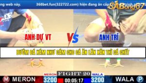 TRẬN 20 CPC1 11/3/2025 : ANH DỰ VT VS ANH TRÍ