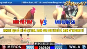 TRẬN 21 CPC1 11/3/2025 : ANH VIỆT HM VS ANH HƯNG SG