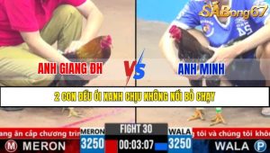 TRẬN 30 CPC3 11/3/2025 : ANH GIANG ĐH VS ANH MINH