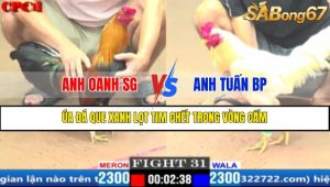TRẬN 31 CPC1 17/3/2025 : ANH OANH SÀI GÒN VS ANH TUẤN BÌNH PHƯỚC