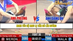 TRẬN 36 CPC3 11/3/2025 : ANH PHƯƠNG VS ANH GIANG ĐH