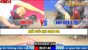 TRẬN 10 CPC1 25/3/2025