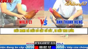 TRẬN 11 CPC1 20/3/2025