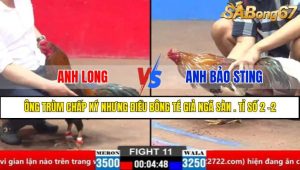 TRẬN 11 CPC2 30/3/2025