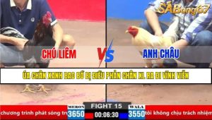 TRẬN 15 CPC2 23/3/2025