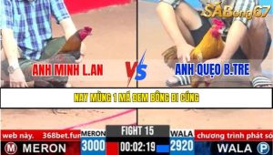 TRẬN 15 CPC3 29/3/2025