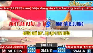 TRẬN 16 CPC3 10/3/2025