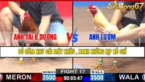 TRẬN 17 CPC2 7/3/2025