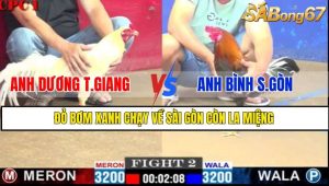 TRẬN 2 CPC1 1/3/2025