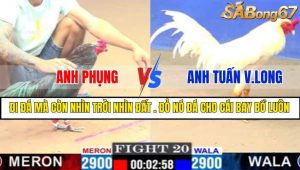 TRẬN 20 CPC1 3/3/2025