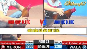 TRẬN 23 CPC3 20/3/2025