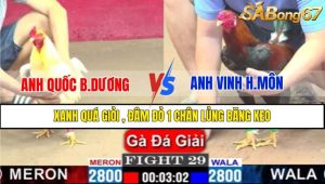 TRẬN 29 CPC1 6/3/2025