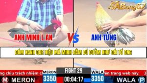 TRẬN 29 CPC3 25/3/2025
