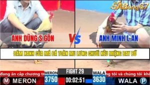 TRẬN 29 CPC3 29/3/2025